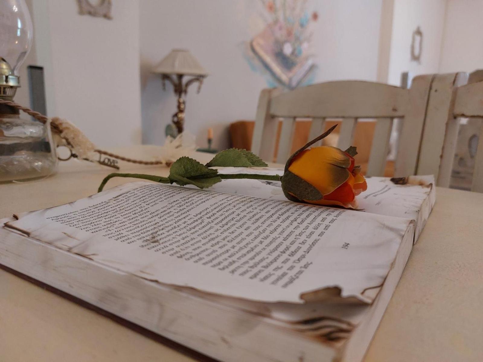 Antique Apartment 아피토스 외부 사진